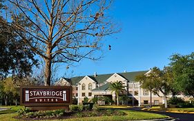 Staybridge Suites Orlando Airport South Orlando, Fl